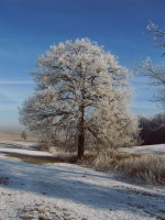 Haus im Winter